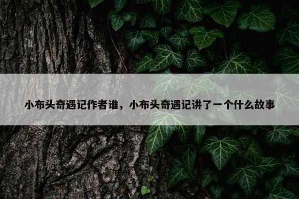 小布头奇遇记作者谁，小布头奇遇记讲了一个什么故事