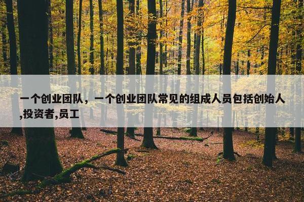 一个创业团队，一个创业团队常见的组成人员包括创始人,投资者,员工