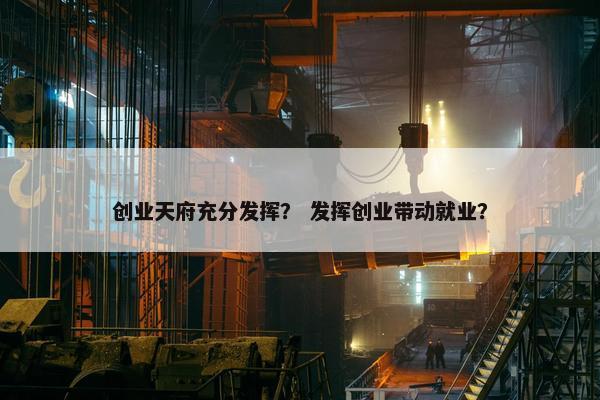 创业天府充分发挥？ 发挥创业带动就业？