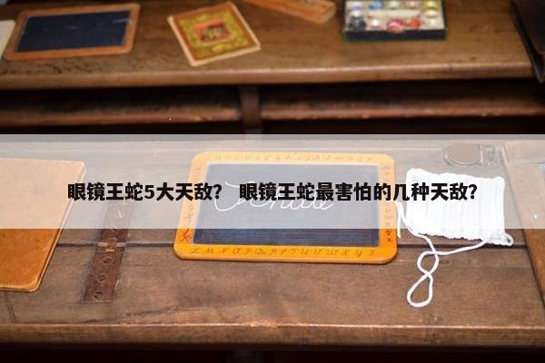 眼镜王蛇5大天敌？ 眼镜王蛇最害怕的几种天敌？
