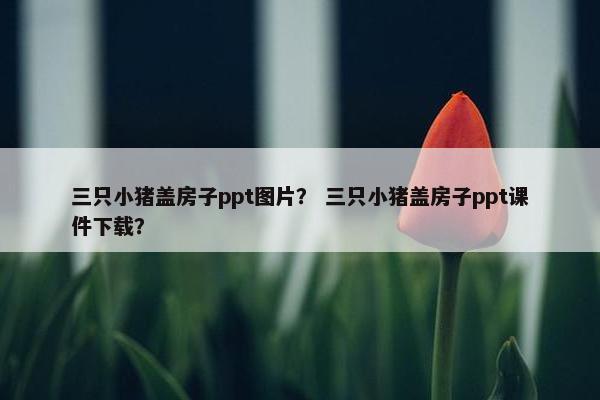 三只小猪盖房子ppt图片？ 三只小猪盖房子ppt课件下载？