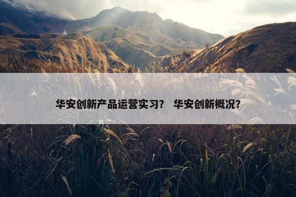 华安创新产品运营实习？ 华安创新概况？
