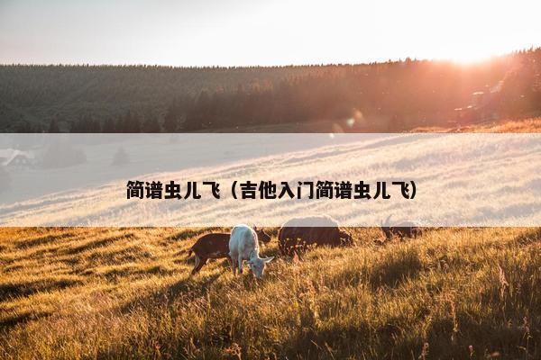 简谱虫儿飞（吉他入门简谱虫儿飞）