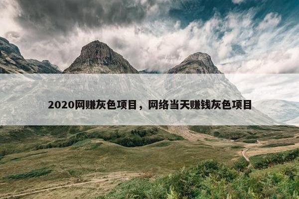 2020网赚灰色项目，网络当天赚钱灰色项目