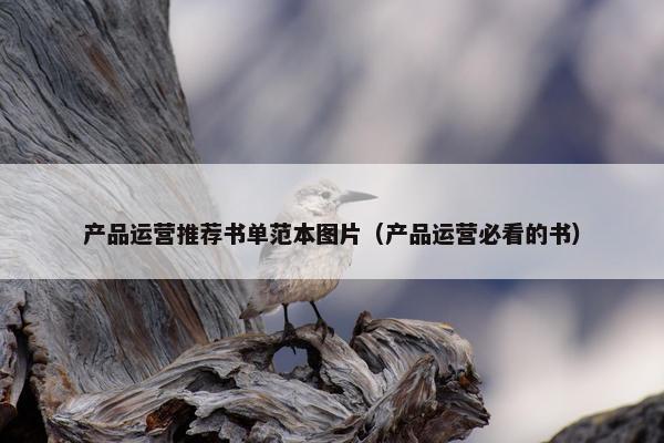 产品运营推荐书单范本图片（产品运营必看的书）