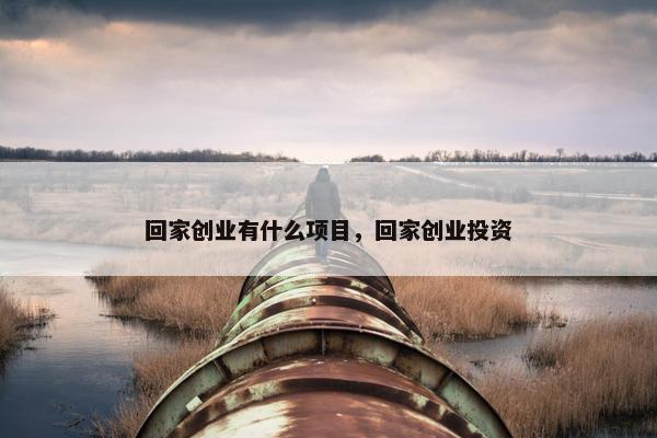 回家创业有什么项目，回家创业投资