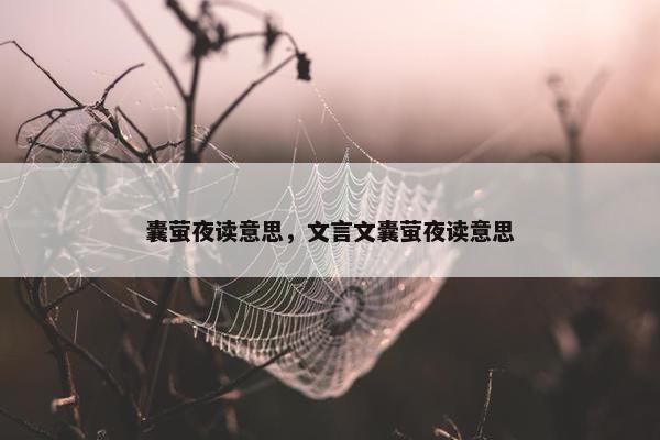 囊萤夜读意思，文言文囊萤夜读意思