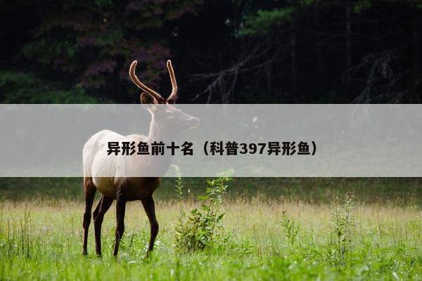 异形鱼前十名（科普397异形鱼）