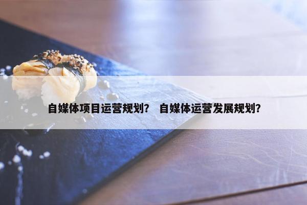 自媒体项目运营规划？ 自媒体运营发展规划？