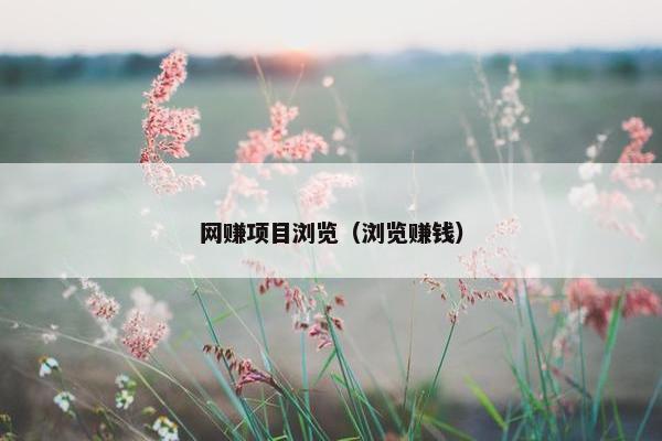 网赚项目浏览（浏览赚钱）