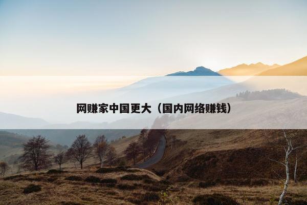 网赚家中国更大（国内网络赚钱）