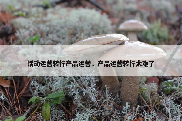活动运营转行产品运营，产品运营转行太难了
