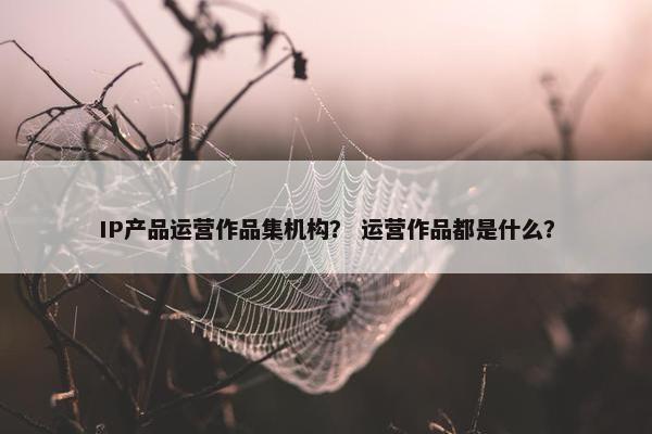 IP产品运营作品集机构？ 运营作品都是什么？