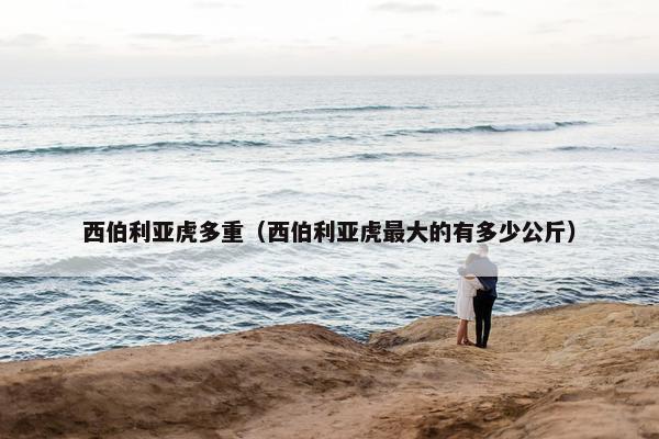 西伯利亚虎多重（西伯利亚虎最大的有多少公斤）