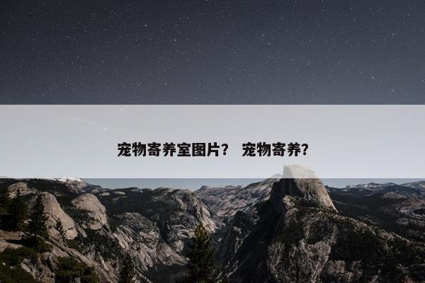 宠物寄养室图片？ 宠物寄养？