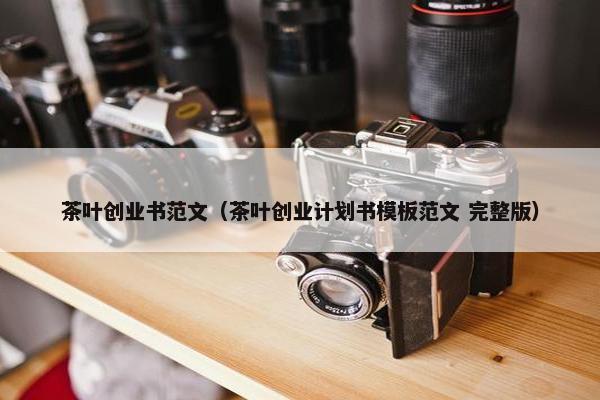 茶叶创业书范文（茶叶创业计划书模板范文 完整版）