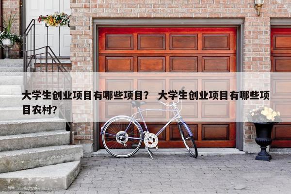 大学生创业项目有哪些项目？ 大学生创业项目有哪些项目农村？