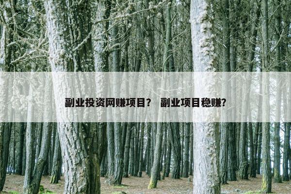 副业投资网赚项目？ 副业项目稳赚？