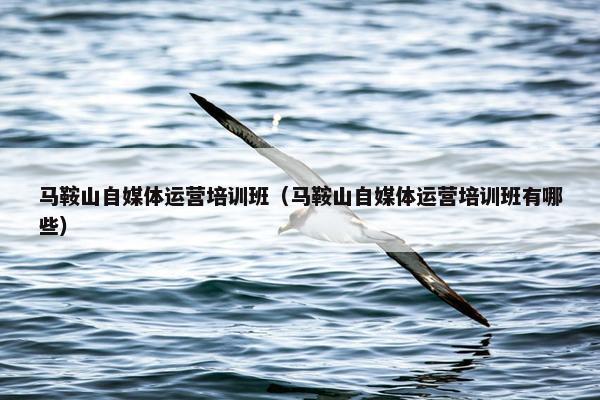 马鞍山自媒体运营培训班（马鞍山自媒体运营培训班有哪些）