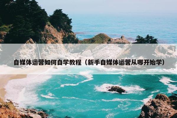 自媒体运营如何自学教程（新手自媒体运营从哪开始学）
