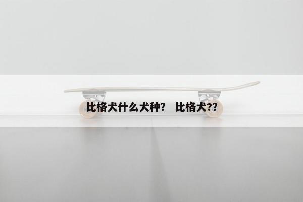 比格犬什么犬种？ 比格犬?？
