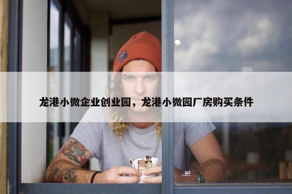 龙港小微企业创业园，龙港小微园厂房购买条件