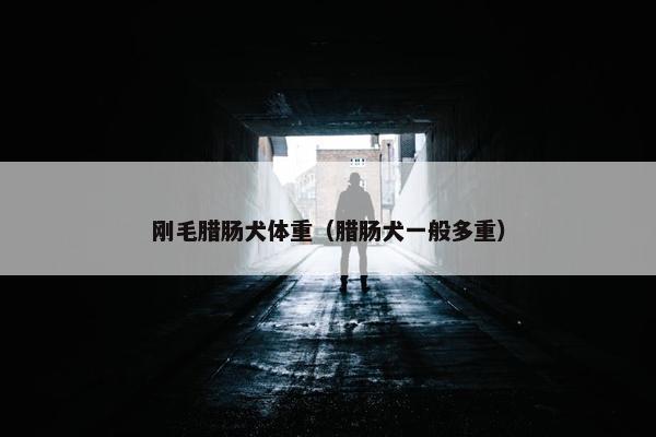 刚毛腊肠犬体重（腊肠犬一般多重）