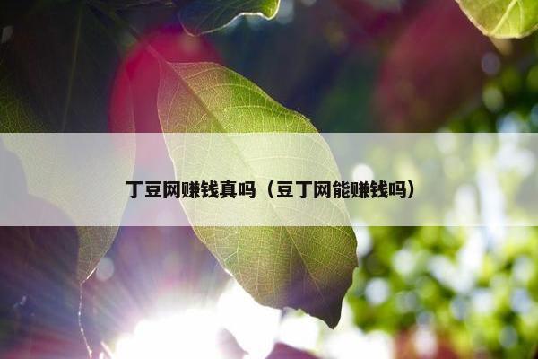丁豆网赚钱真吗（豆丁网能赚钱吗）