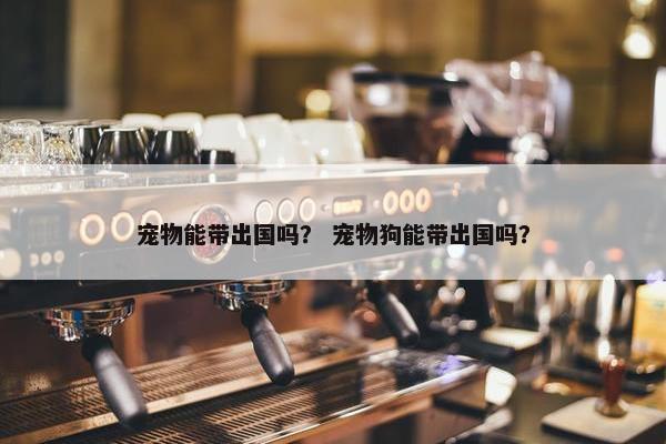 宠物能带出国吗？ 宠物狗能带出国吗？