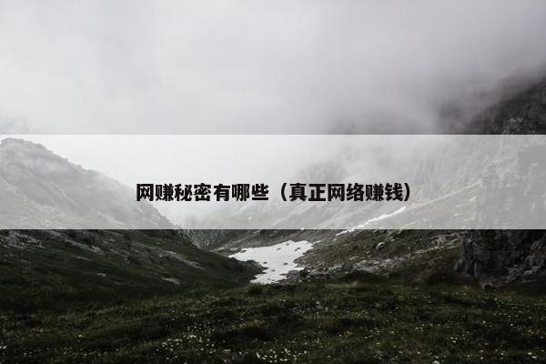 网赚秘密有哪些（真正网络赚钱）