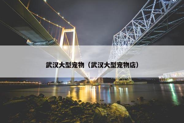 武汉大型宠物（武汉大型宠物店）