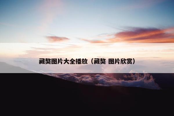 藏獒图片大全播放（藏獒 图片欣赏）