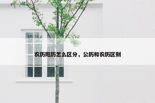 农历阳历怎么区分，公历和农历区别