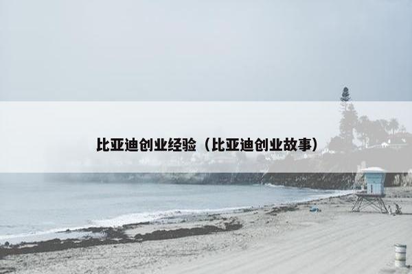 比亚迪创业经验（比亚迪创业故事）