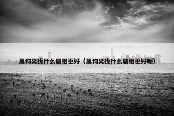 属狗男找什么属相更好（属狗男找什么属相更好呢）