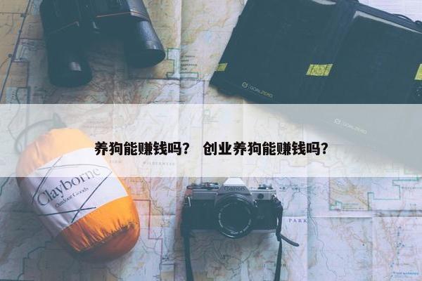 养狗能赚钱吗？ 创业养狗能赚钱吗？