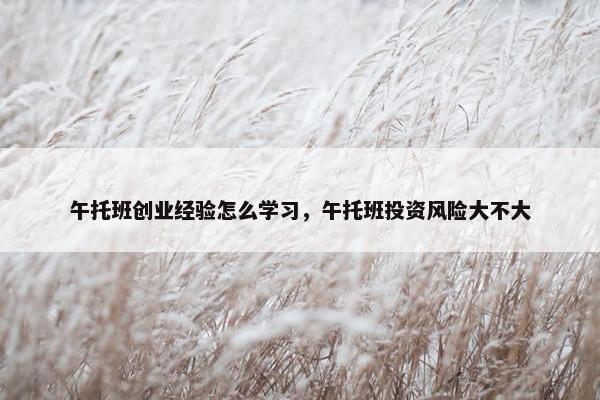 午托班创业经验怎么学习，午托班投资风险大不大