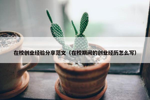在校创业经验分享范文（在校期间的创业经历怎么写）