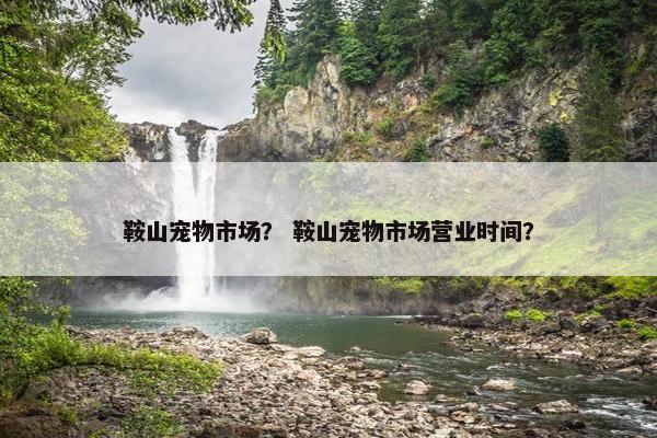 鞍山宠物市场？ 鞍山宠物市场营业时间？