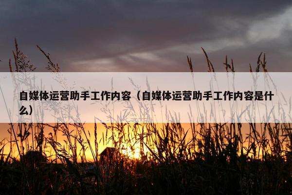 自媒体运营助手工作内容（自媒体运营助手工作内容是什么）