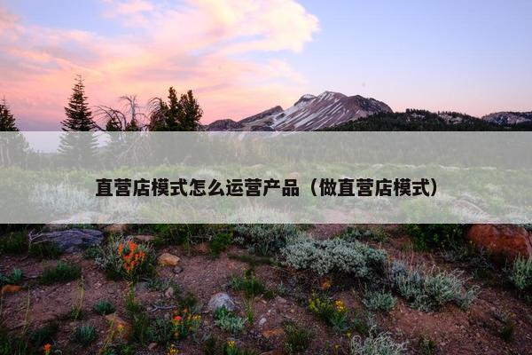 直营店模式怎么运营产品（做直营店模式）