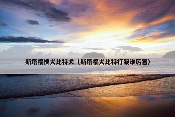 斯塔福梗犬比特犬（斯塔福犬比特打架谁厉害）