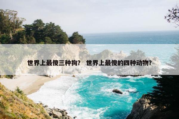 世界上最傻三种狗？ 世界上最傻的四种动物？