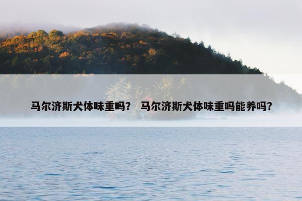 马尔济斯犬体味重吗？ 马尔济斯犬体味重吗能养吗？