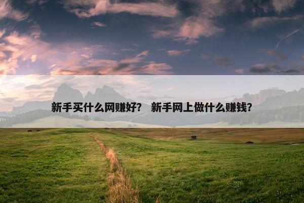 新手买什么网赚好？ 新手网上做什么赚钱？
