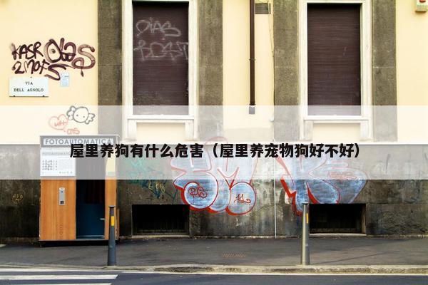 屋里养狗有什么危害（屋里养宠物狗好不好）
