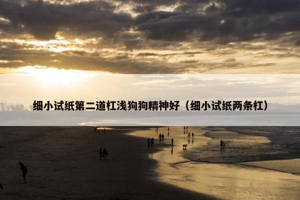 细小试纸第二道杠浅狗狗精神好（细小试纸两条杠）