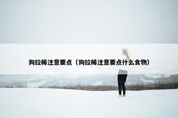 狗拉稀注意要点（狗拉稀注意要点什么食物）