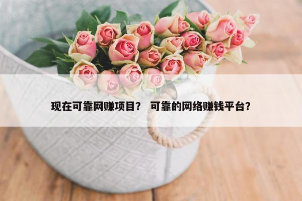 现在可靠网赚项目？ 可靠的网络赚钱平台？