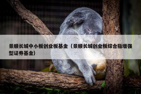 景顺长城中小板创业板基金（景顺长城创业板综合指增强型证券基金）